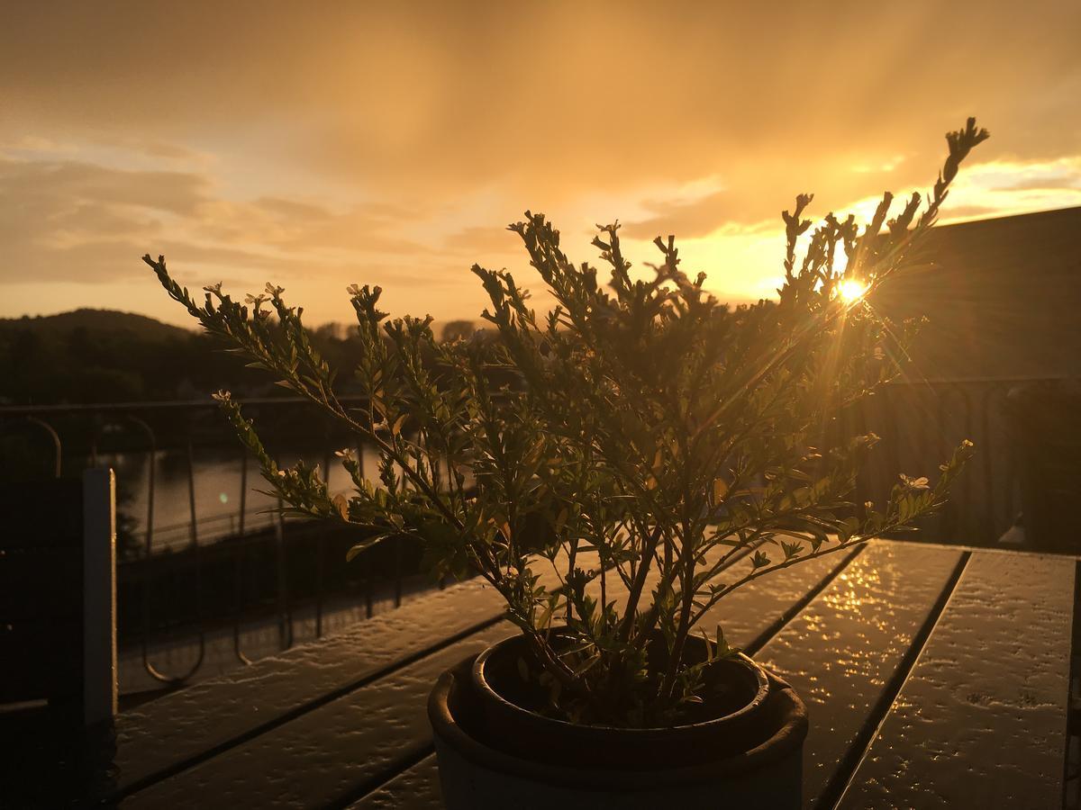 Hotel "Zur Moselterrasse" Palzem Esterno foto