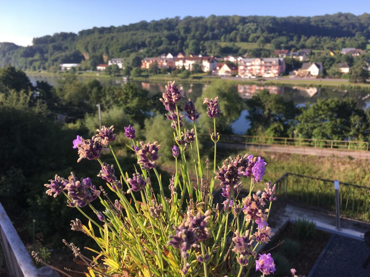 Hotel "Zur Moselterrasse" Palzem Esterno foto